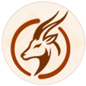 Ngenda Tours and Travel Logo