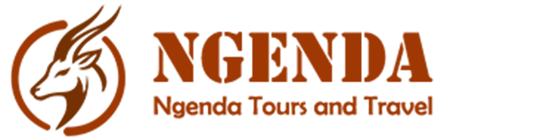 Ngenda Tours and Travel Logo